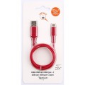 Temium CABLE USB TYPE C ROUGE 1M