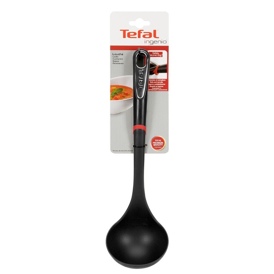 Tefal LOUCHE INGENIO n°2