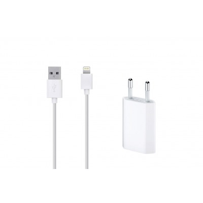 Mobility Lab Câble Lightning + chargeur pour appareils Apple