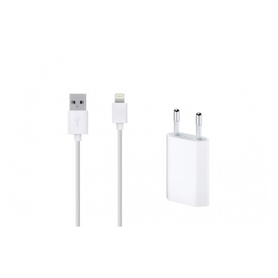 Mobility Lab Câble Lightning + chargeur pour appareils Apple