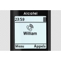 Alcatel Pack sans fil F 890 Voice Duo