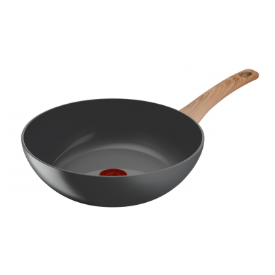 TEFAL C4251913
