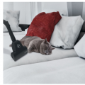 Hoover HP322PET