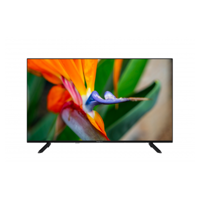 SURFTV SF43VV24B