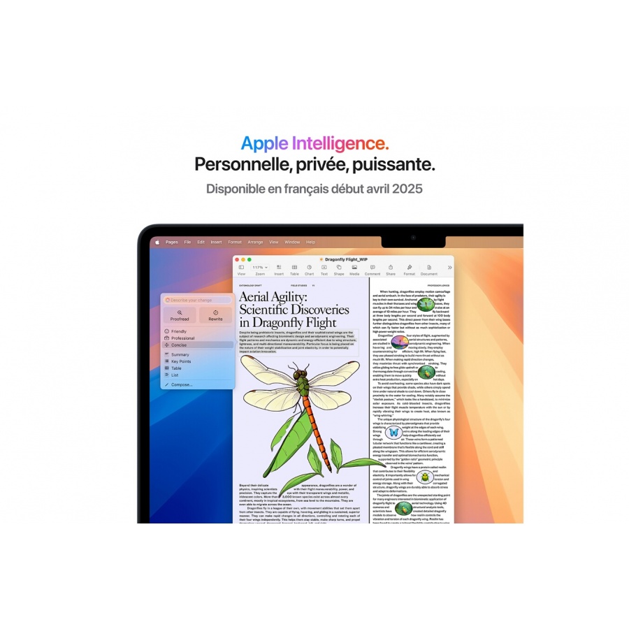 Apple Air 13'' 512 Go SSD 16 Go RAM Puce M4 CPU 10 cours GPU 10 cours Minuit n°6