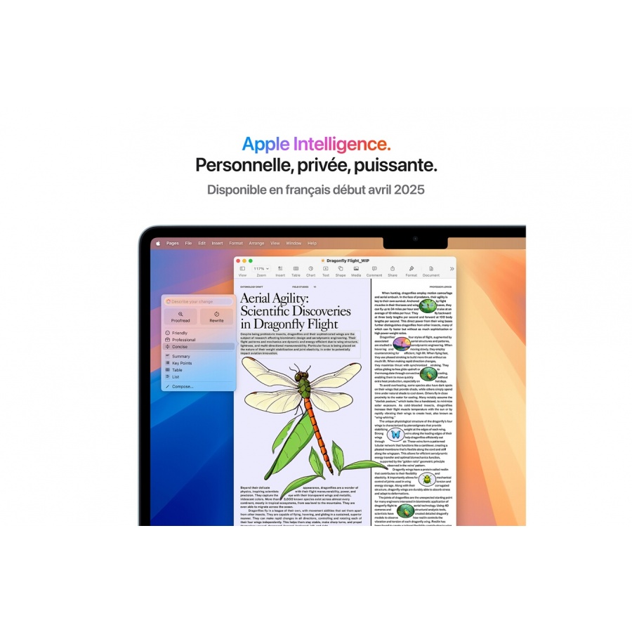 Apple Air 13'' 256 Go SSD 16 Go RAM Puce M4 CPU 10 cours GPU 8 cours Bleu Ciel n°6