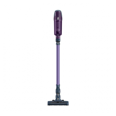 ROWENTA RH6822WO