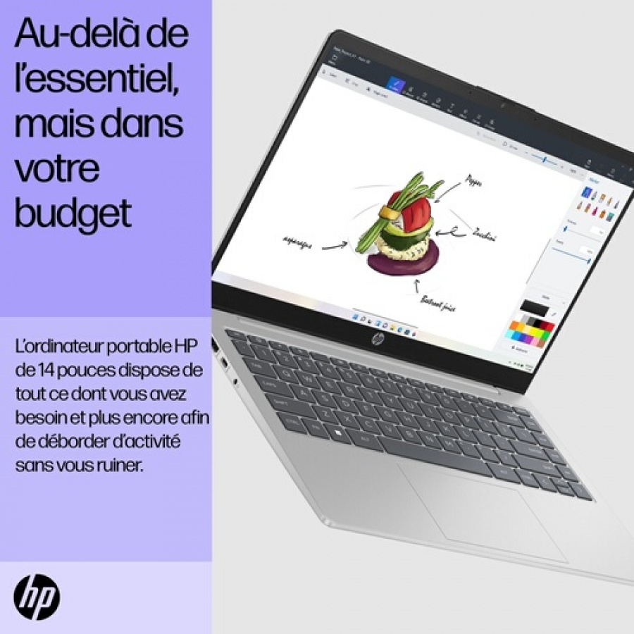 HP 14EP0055 I3812 n°5