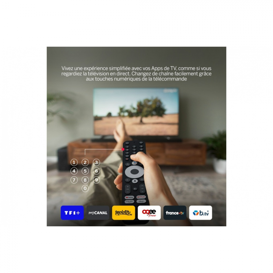 THOMSON 240GG BOX n°4